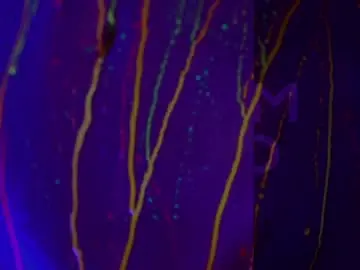 Chaturbate Nude Webcam of heybanan