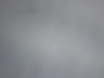 Chaturbate Free Live Porn of sharo_2000