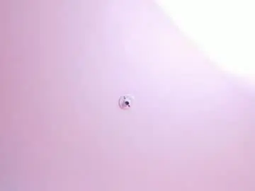 Chaturbate Adult Video Chat of mon_cerrat