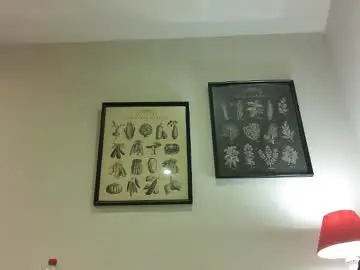 Chaturbate Best Webcam of joefitbite