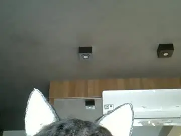 Chaturbate Adult Video Chat of skinnykittencam