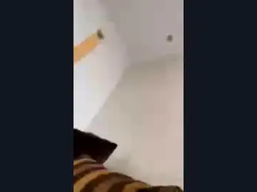 Chaturbate Adult Webcam of karlenegries