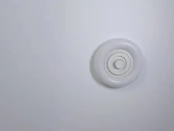 Chaturbate Adult Webcam of elswythbareford