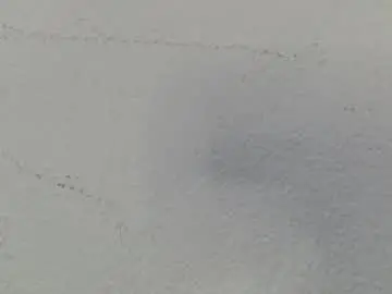 Chaturbate Adult Video Chat of luna_noire1