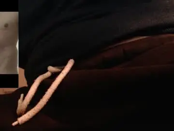 Chaturbate Free Live Porn of robby66_56