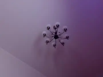 Chaturbate Adult Video Chat of sonjanextray