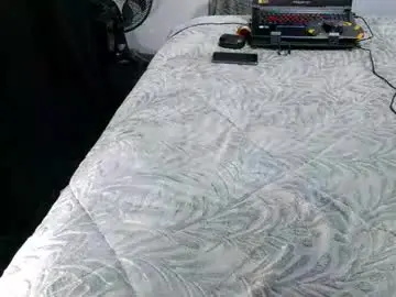 Chaturbate Adult Webcams of laylabrasil