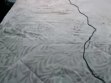 Chaturbate Adult Webcams of laylabrasil