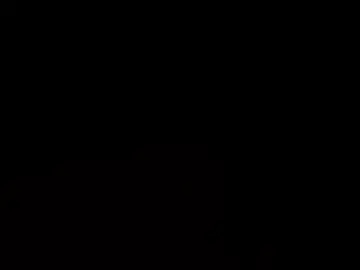 Chaturbate Adult Webcam of the_1_couple