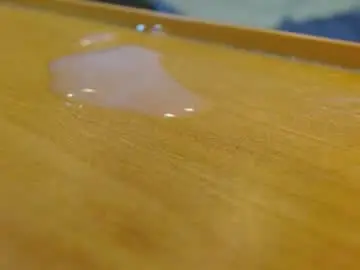 Chaturbate Best Webcam of xxlecheroxx