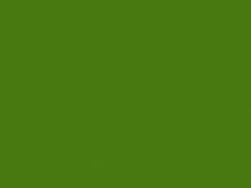 Chaturbate Live Porn of your_bigheadcock