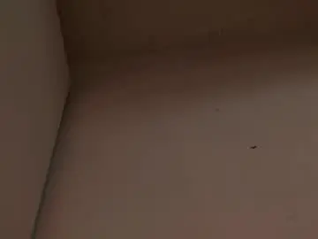 Chaturbate Nude Webcam of enzo_steel