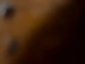 Chaturbate Private Sex Chat of columbusohio614