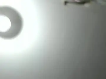 Chaturbate Private Sex Chat of fatfreddythecat