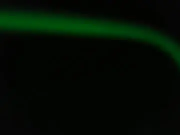 Chaturbate Sex Chat of fatfreddythecat