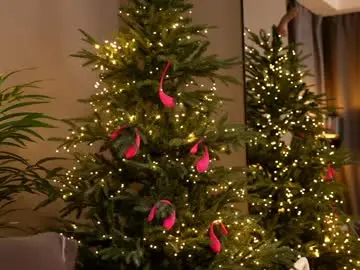 Chaturbate Adult Webcam of _keti_