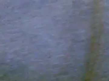 Chaturbate Sex Cam of lilbratty_clouds_ogpuffdragon