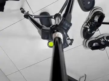 alishaevans_rs from chaturbate