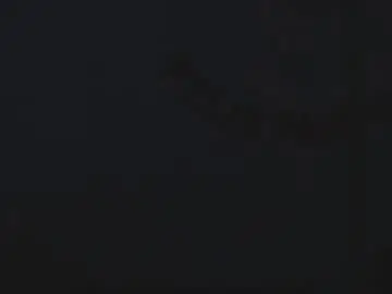 Chaturbate Live Sex of onixandghosty