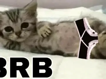 Chaturbate Free Porn Cam of _meowmiko__