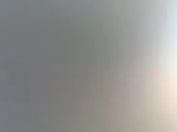 Chaturbate Live Porn of romeomustcum2016