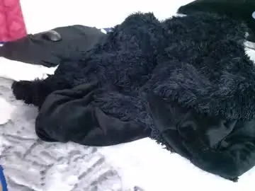 Chaturbate Sex Cam of kratos_and_afrodita