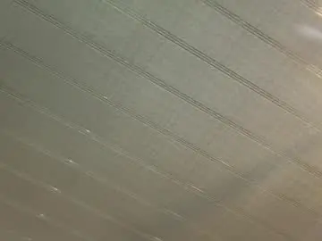 Chaturbate Live Sex of saray_reyes