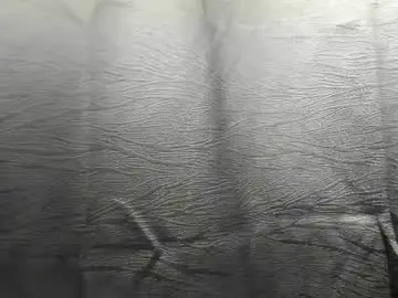 Chaturbate Sex Cam of sebastianv365