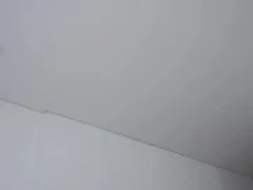 Chaturbate Free Porn Cam of andy_weld