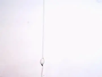 Chaturbate Live Sex of juan_and_luciana