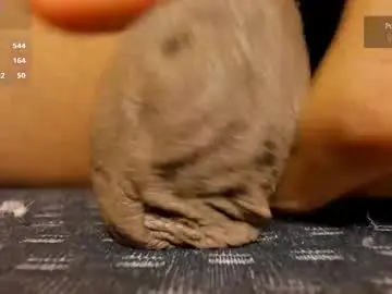 Chaturbate Best live sex cam show of charlottelaurent