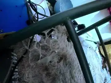 Chaturbate Private Sex Chat of dankshepp