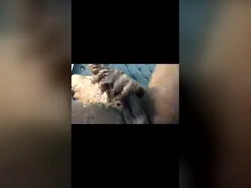 Chaturbate Sex Chat of aaronblack1_