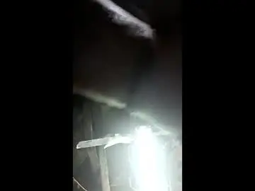 Chaturbate Adult Webcam of dhbbc454336