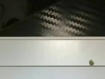 Chaturbate Adult Video Chat of nsanchez10