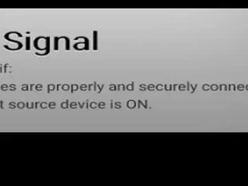 bigtoybear from chaturbate