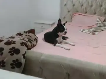 Chaturbate Live Sex Cam of girlvictoria