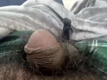 Chaturbate Live Sex of suggnight