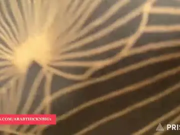 Chaturbate Live Sex of arabthickestdick1