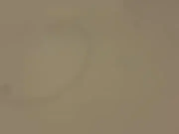 Chaturbate Adult Webcam of saconuts