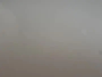 saconuts from chaturbate