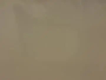 Chaturbate Best Webcam of saconuts