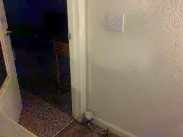 Chaturbate Sex Chat of needsub