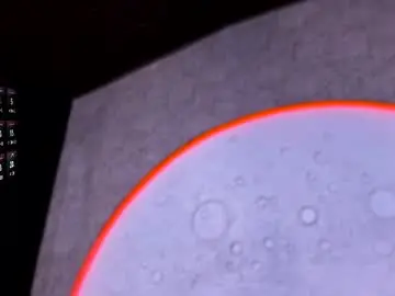 Chaturbate Adult Webcams of reiinachloe