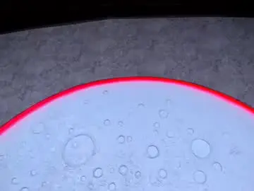 Chaturbate Sex Chat of reiinachloe