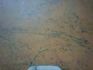 Chaturbate Live Sex Cam of prettyxxpac