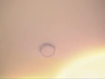 Chaturbate Adult Video Chat of appolo_allen