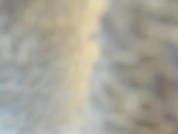 Chaturbate Free Porn Cam of evans_king