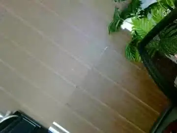 Chaturbate Free Live Porn of seductivestacyxx