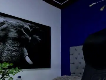 Chaturbate Adult Webcam of king_falconer